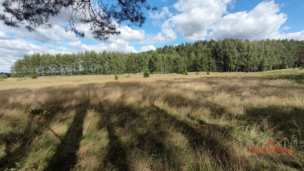 Działka Sprzedaż Komarowo 5