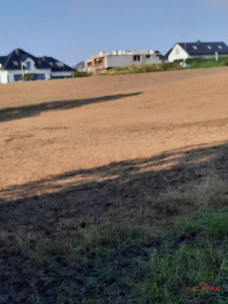 Działka Sprzedaż Kurów 5