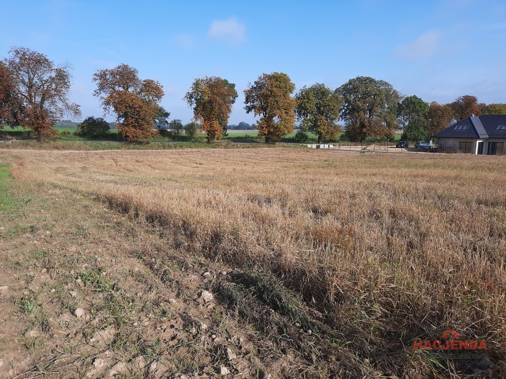 Działka Sprzedaż Kurów 9