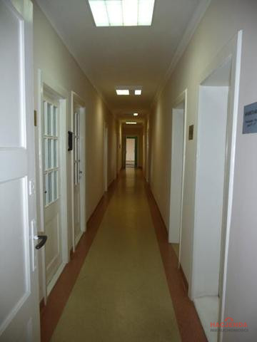 Lokal Wynajem Szczecin Centrum