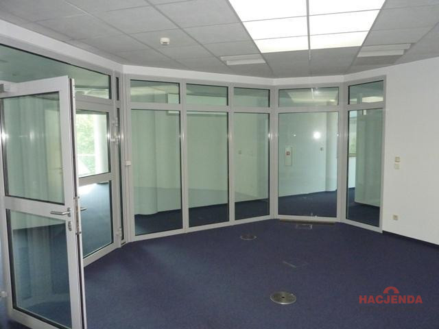 Lokal Wynajem Szczecin Centrum 13