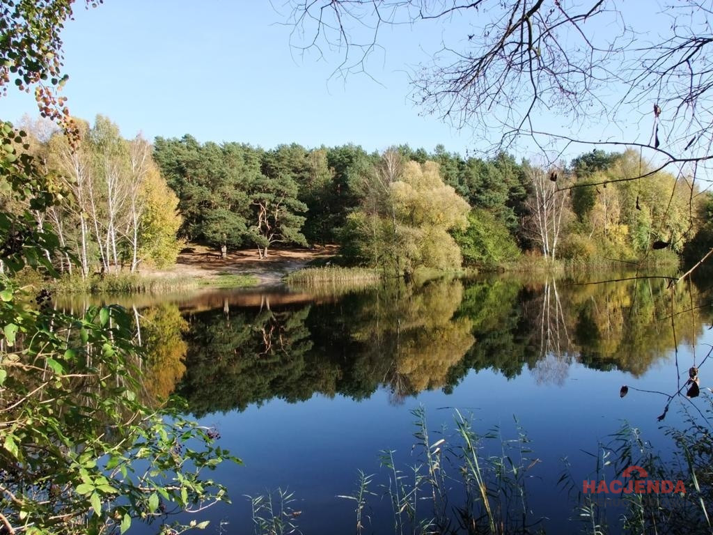 Działka Sprzedaż Bartoszewo 1