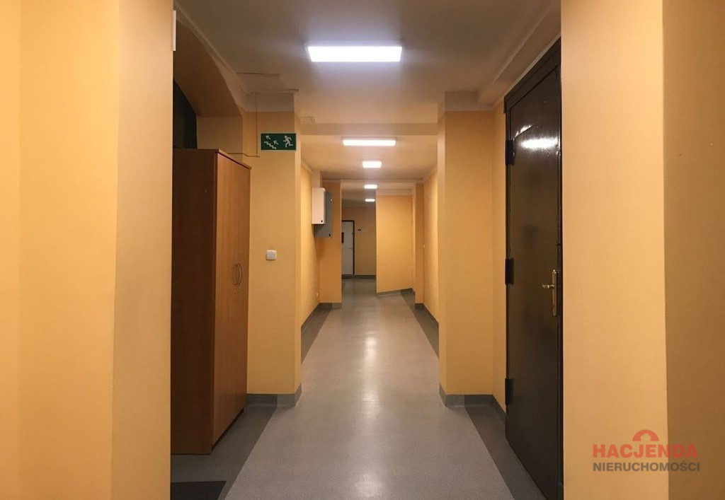 Lokal Wynajem Szczecin Śródmieście