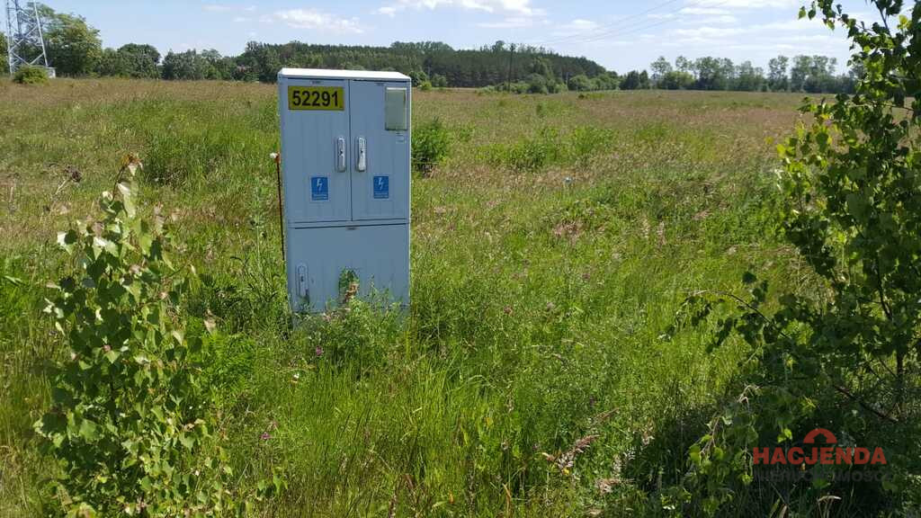 Działka Sprzedaż Kołczewo