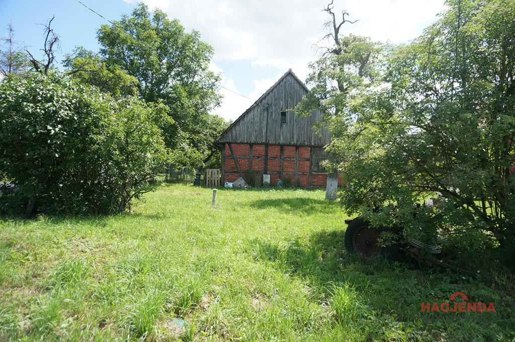 Obiekt Sprzedaż Goleniów 5