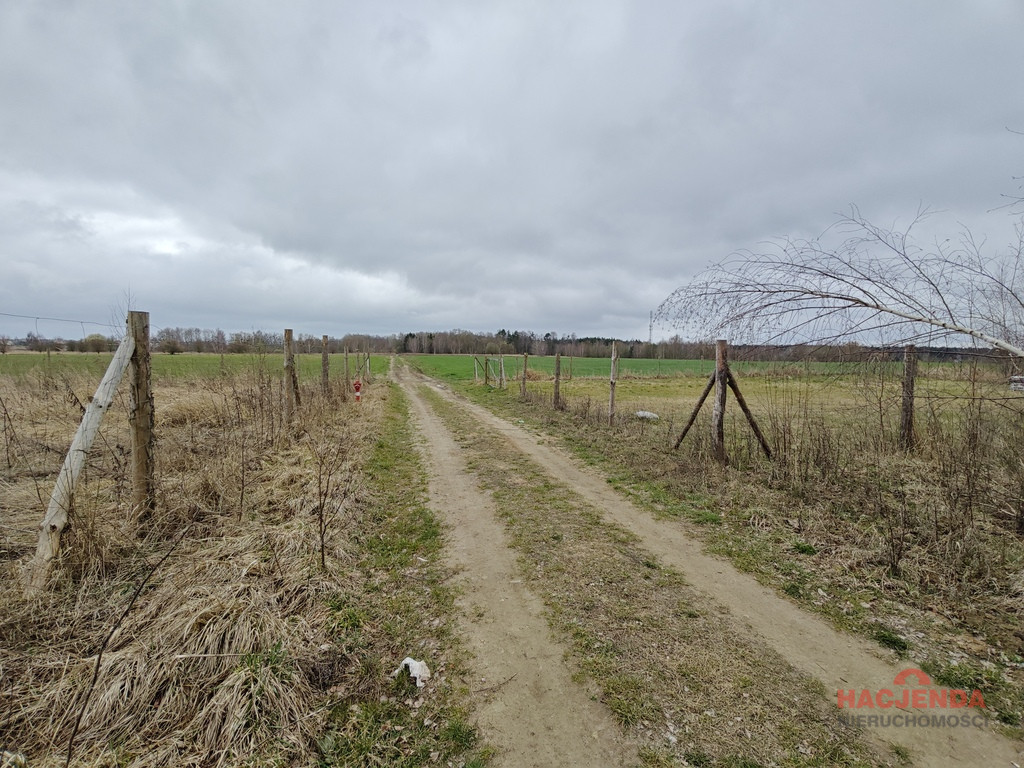 Działka Sprzedaż Wąwelnica 3