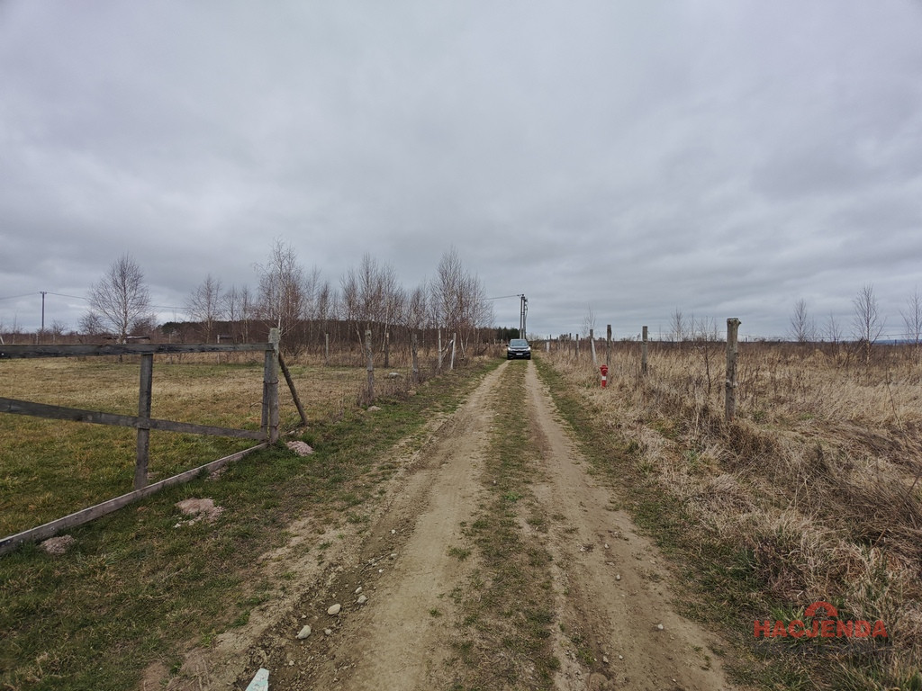 Działka Sprzedaż Wąwelnica 5