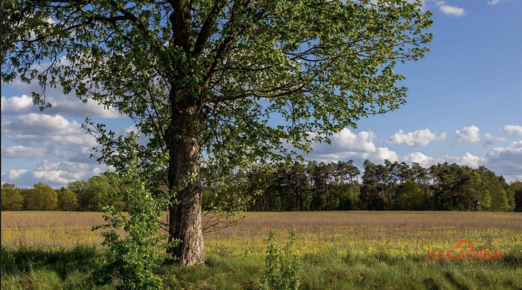 Działka Sprzedaż Jarnatów