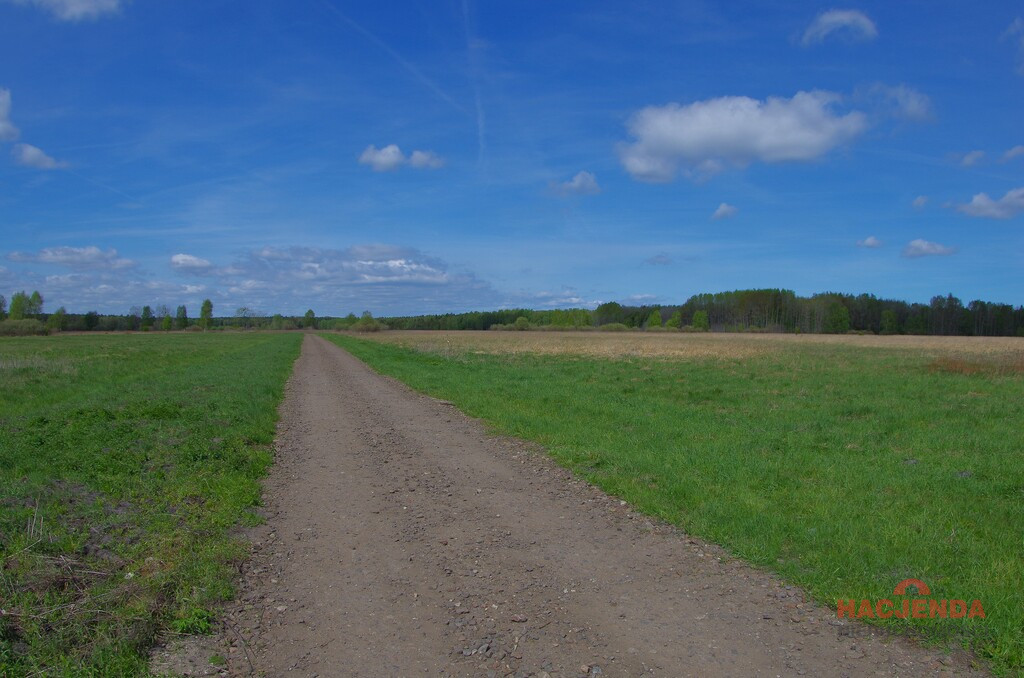 Działka Sprzedaż Niedźwiedź 8