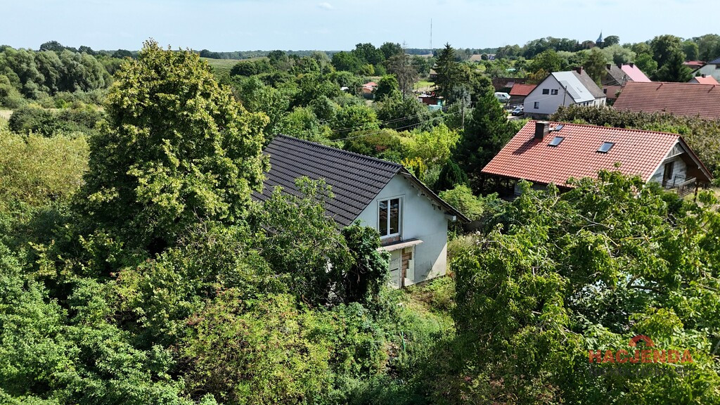 Dom Sprzedaż Gogolice 10