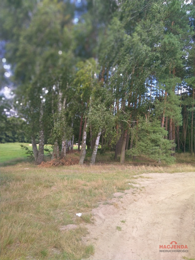 Działka Sprzedaż Tanowo Szczecińska 11