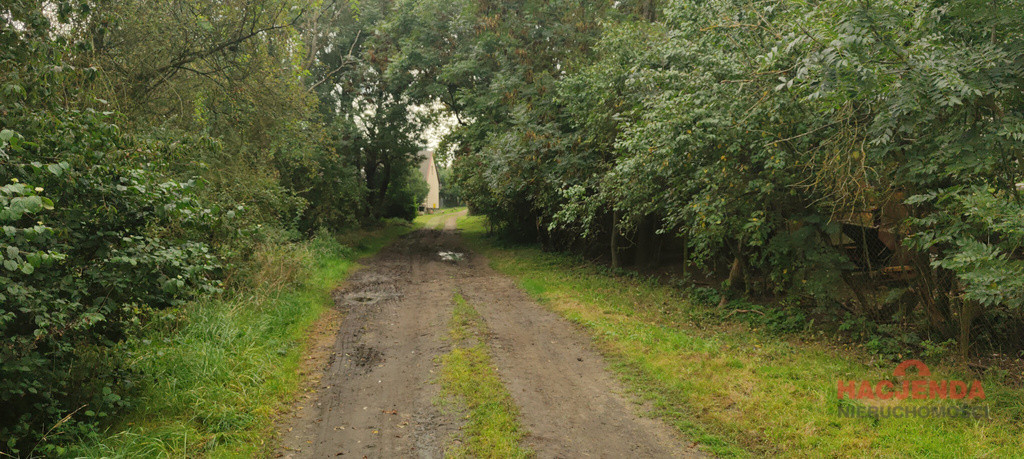 Działka Sprzedaż Barnisław
