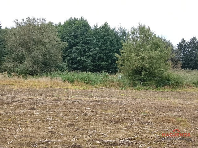 Działka Sprzedaż Stara Dąbrowa 14