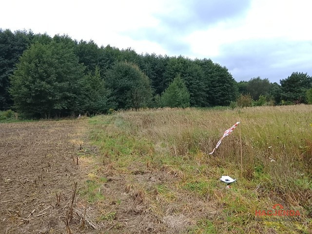 Działka Sprzedaż Stara Dąbrowa 18