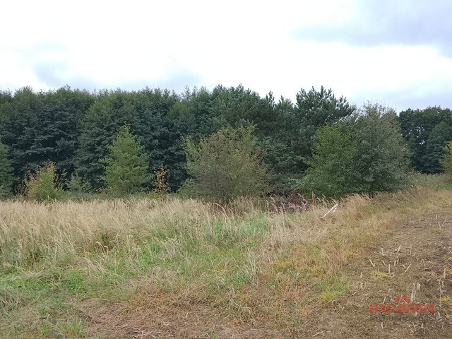 Działka Sprzedaż Stara Dąbrowa 19