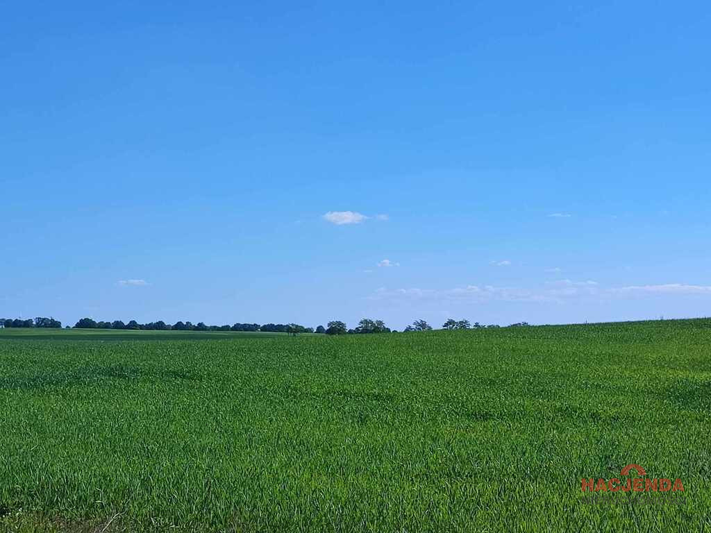 Działka Sprzedaż Grabowo 9