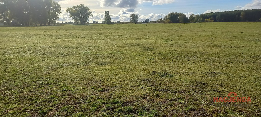 Działka Sprzedaż Borzysławiec 5