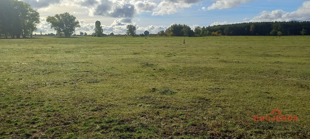 Działka Sprzedaż Borzysławiec 3