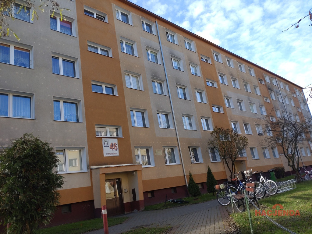 Mieszkanie Sprzedaż Okonek Niepodległości 4