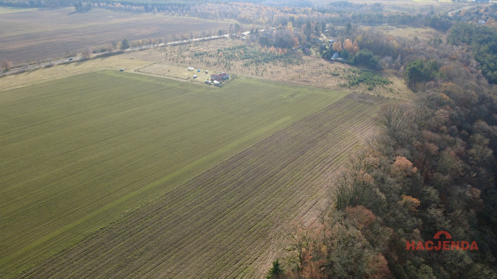 Działka Sprzedaż Storkowo 11