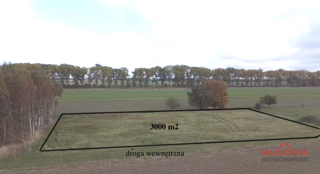 Działka Sprzedaż Chrząstowo 2