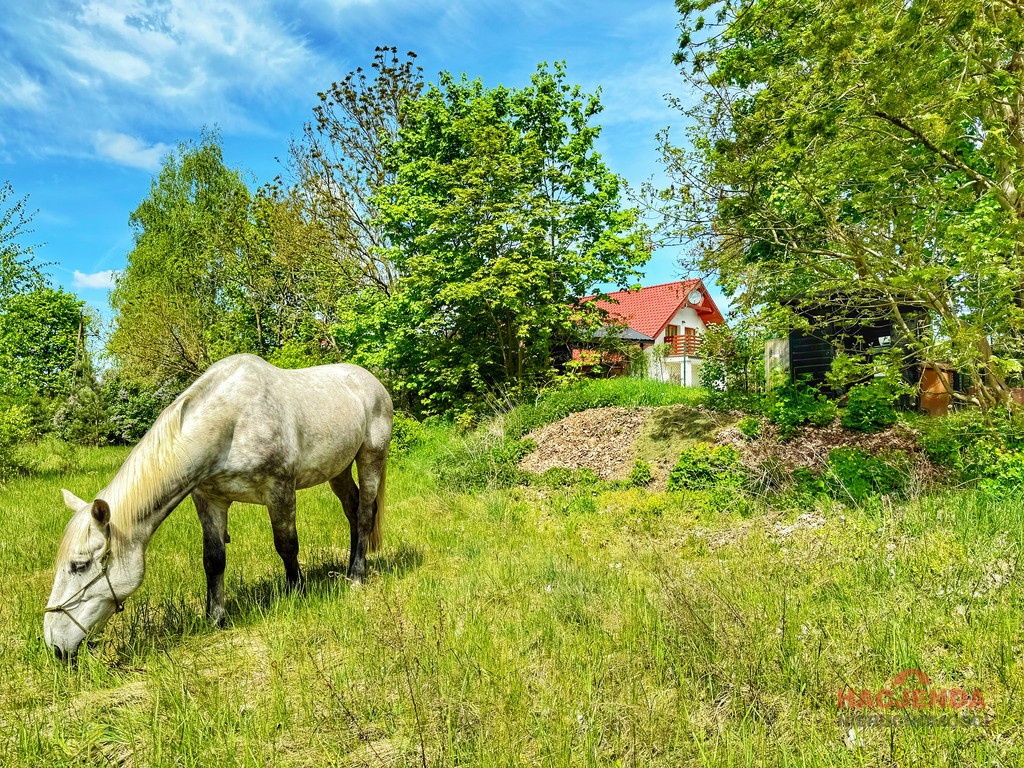 Dom Sprzedaż Trzeszczyn 40