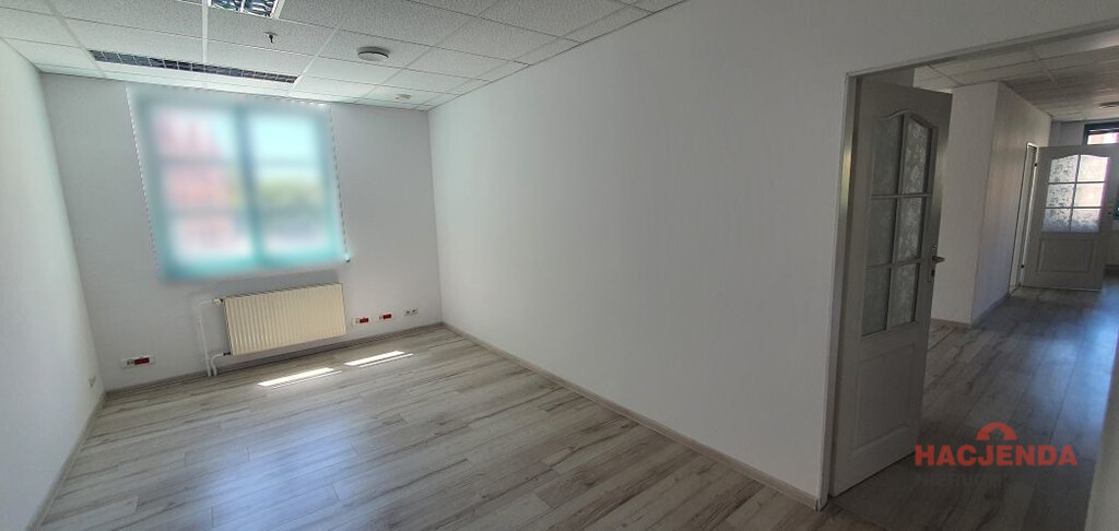 Lokal Wynajem Szczecin Stare Miasto 9
