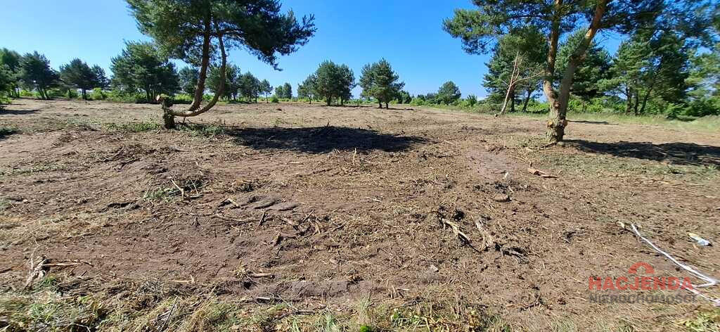 Działka Sprzedaż Stepnica 3