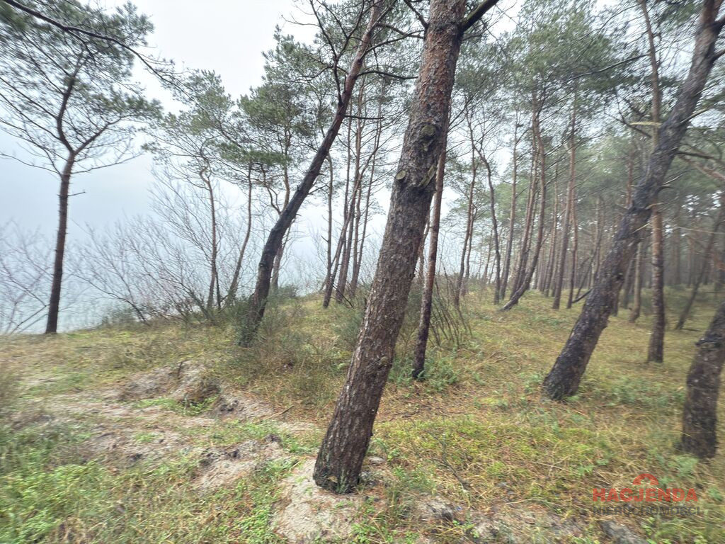 Mieszkanie Sprzedaż Międzywodzie Westerplatte 17