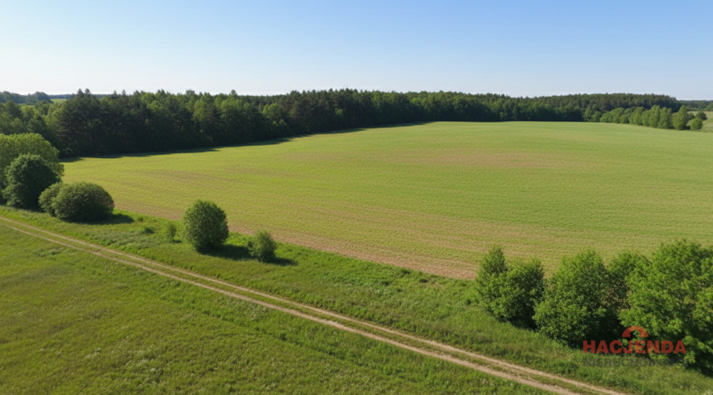 Działka Sprzedaż Krzemień 5