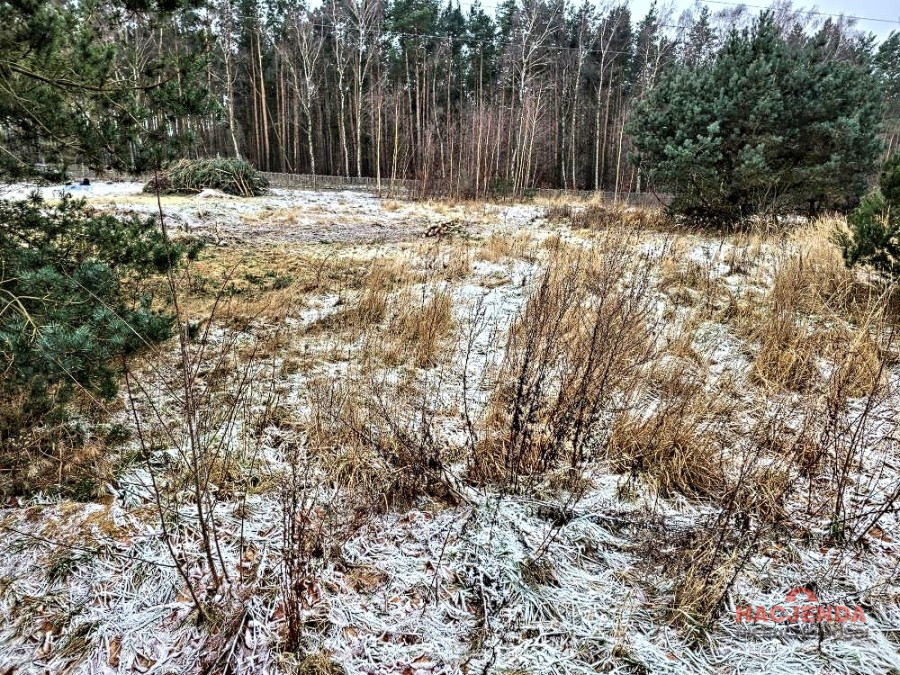Działka Sprzedaż Dargobądz 2
