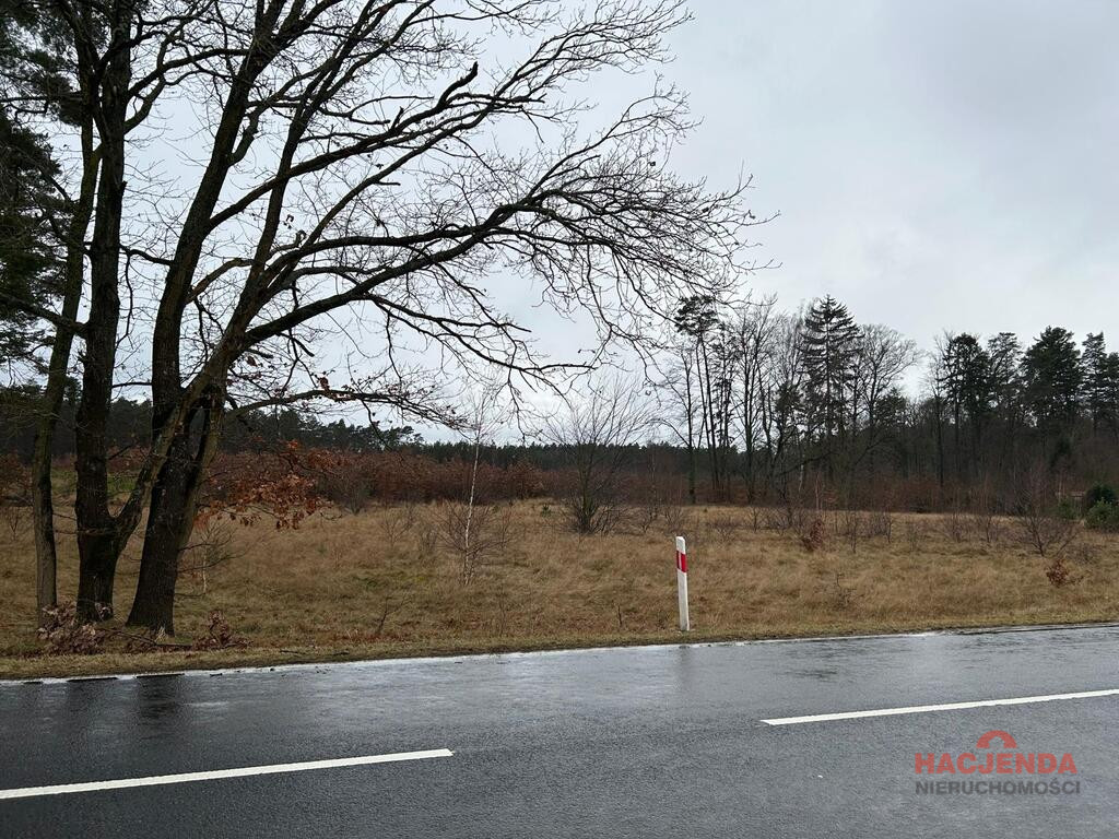 Działka Sprzedaż Brzózki 6