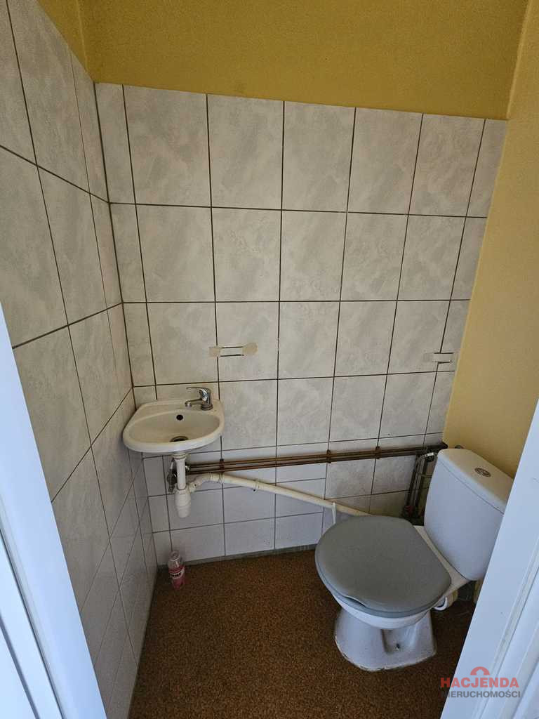 Lokal Wynajem Szczecin Centrum 8