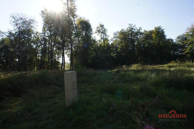 Działka Sprzedaż Dobra 6