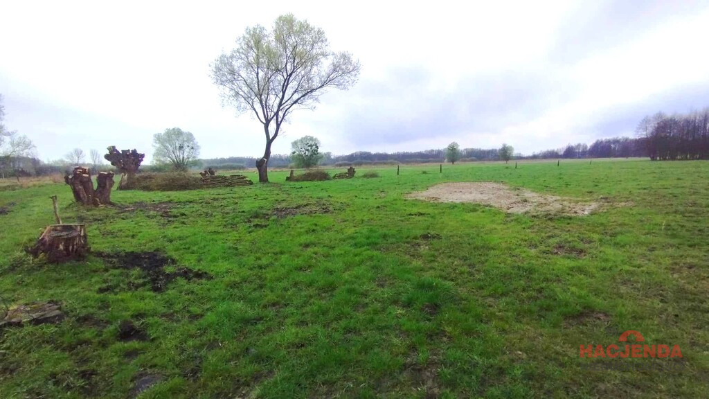 Działka Sprzedaż Dobropole Gryfińskie 1