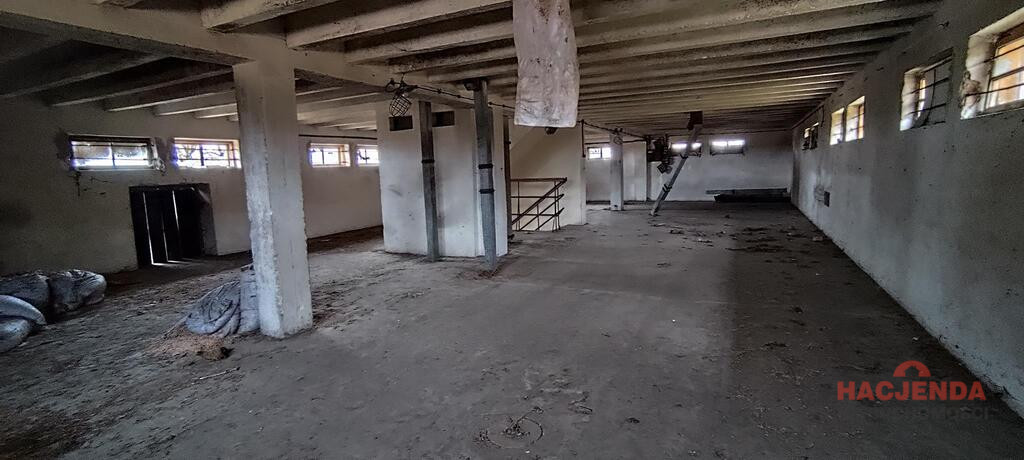 Obiekt Sprzedaż Budno 13
