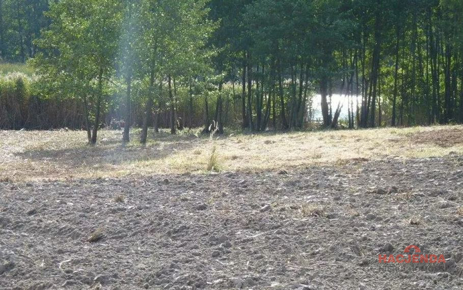 Działka Sprzedaż Zieleniewo 4