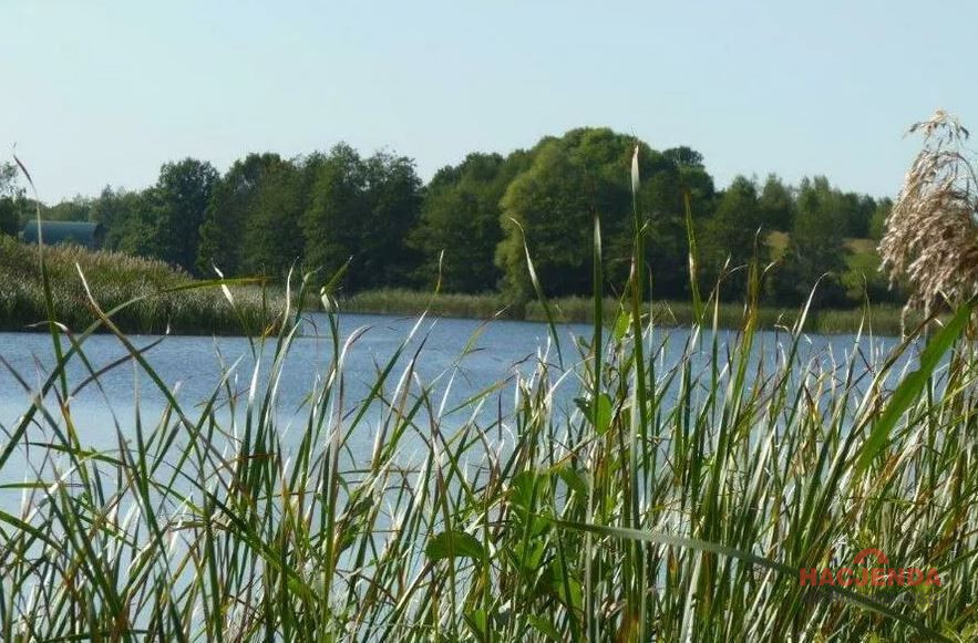 Działka Sprzedaż Zieleniewo 6