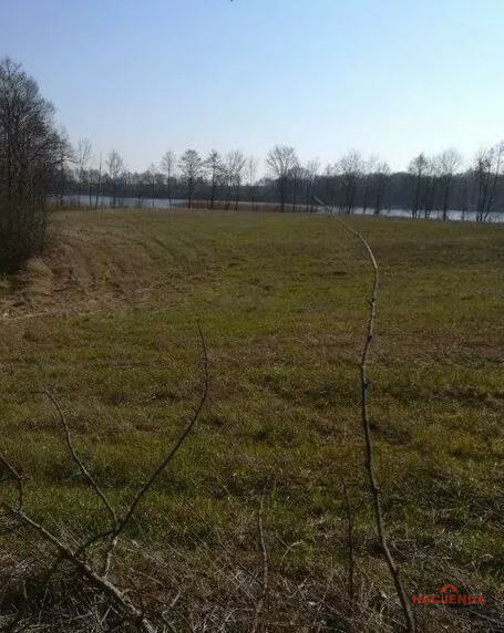 Działka Sprzedaż Kaszewo 4