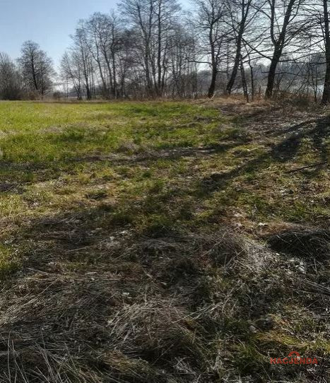 Działka Sprzedaż Kaszewo 6