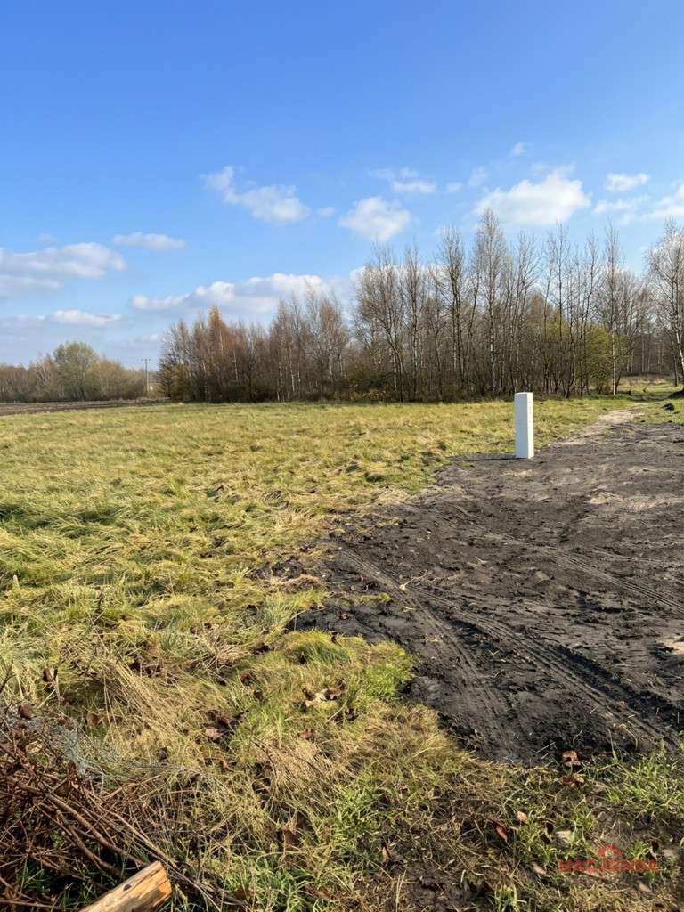 Działka Sprzedaż Krasnołęka 3