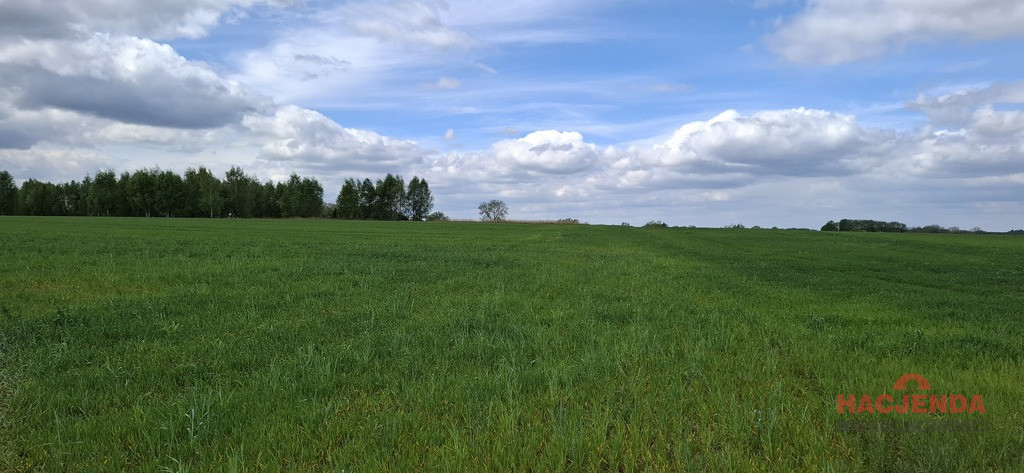 Działka Sprzedaż Bagna 2