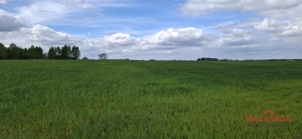 Działka Sprzedaż Bagna 4