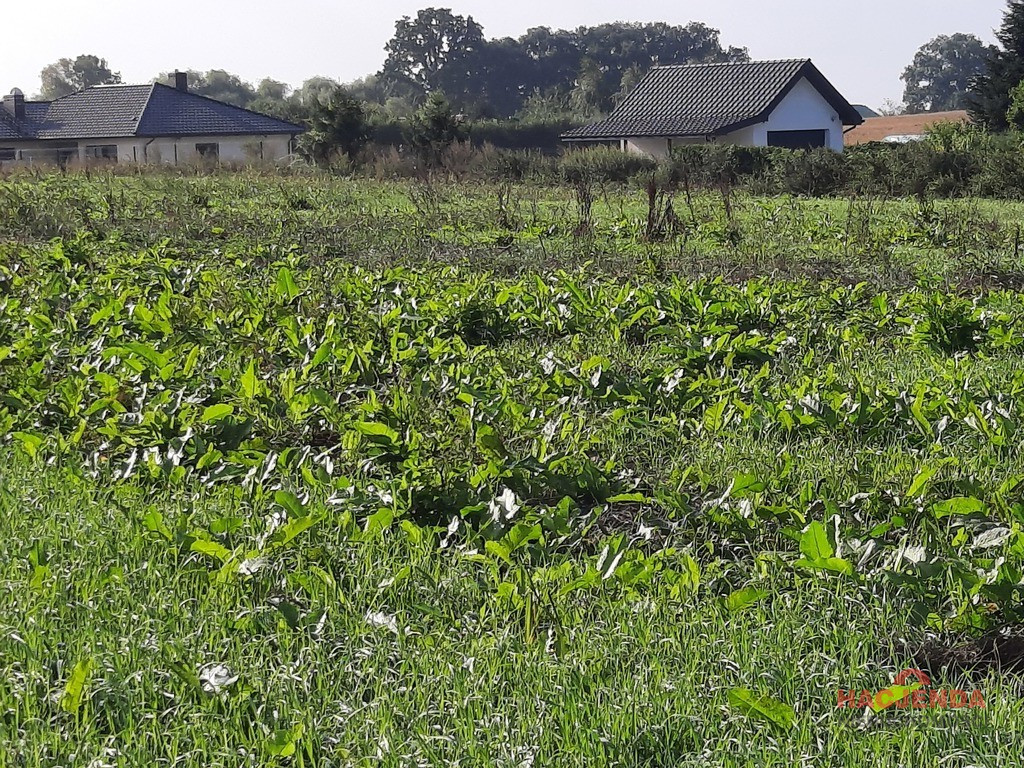 Działka Sprzedaż Kurów Na Klifie 4