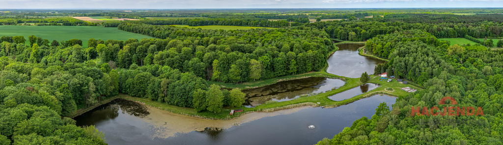 Działka Sprzedaż Wisławie 2