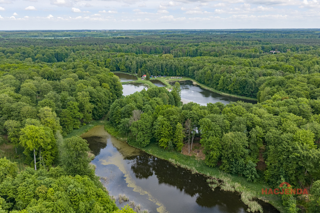 Działka Sprzedaż Wisławie 6