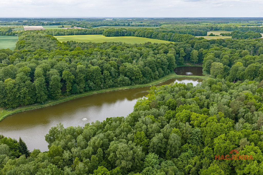 Działka Sprzedaż Wisławie 9