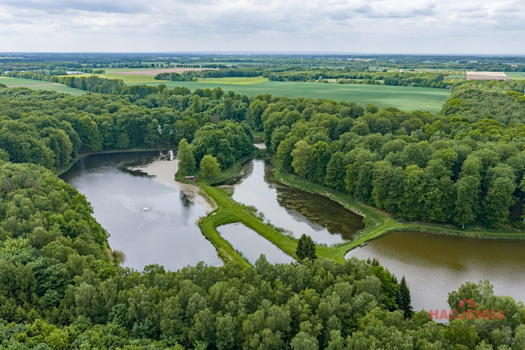 Działka Sprzedaż Wisławie 10
