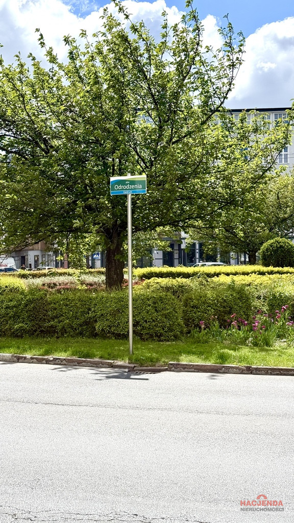 Mieszkanie Sprzedaż Szczecin Centrum Monte Cassino 34