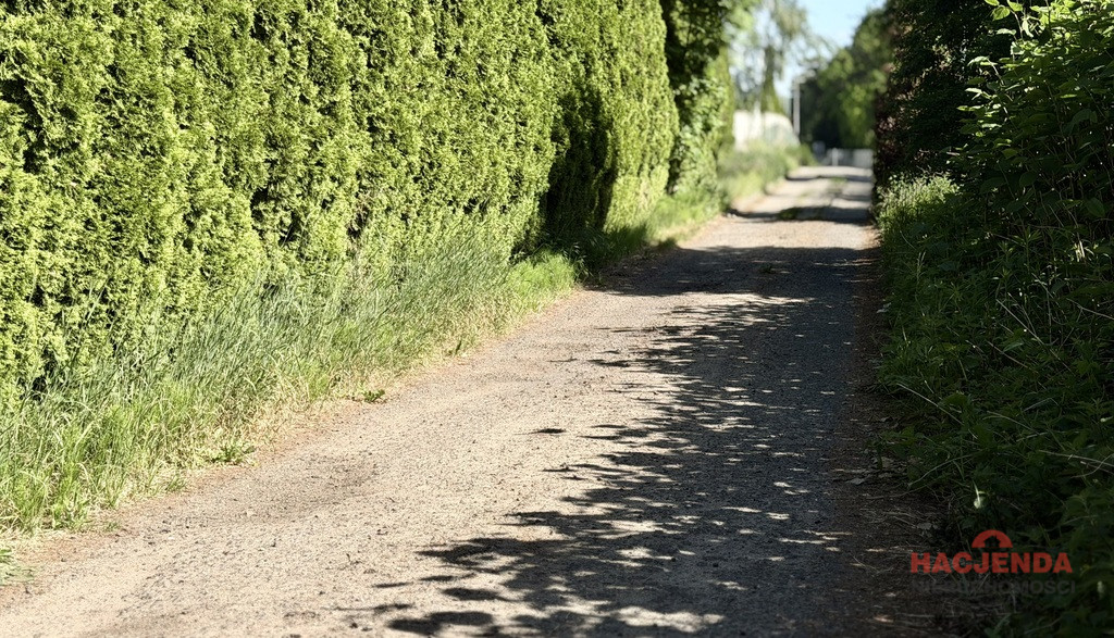 Działka Sprzedaż Dobra 2